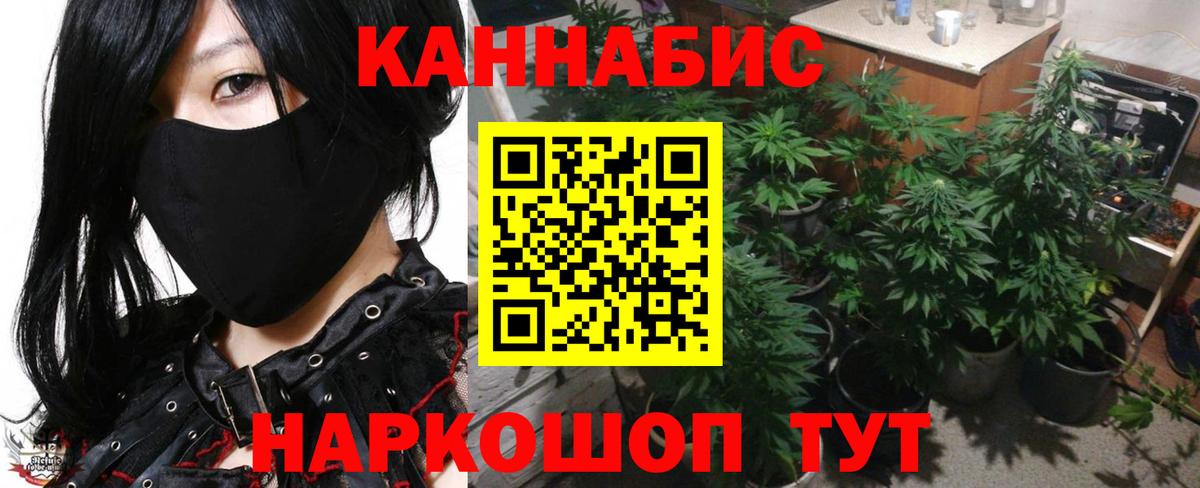Бошки Шишки гибрид Мирный
