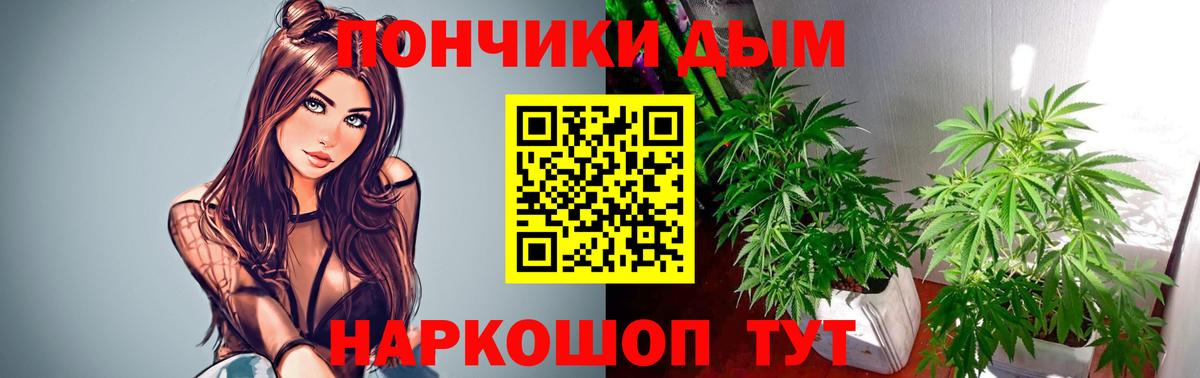 Бошки Шишки планчик  МАРИХУАНА SATIVA & INDICA  Бошки марихуана Ganja  Мирный  Вход с VPN 